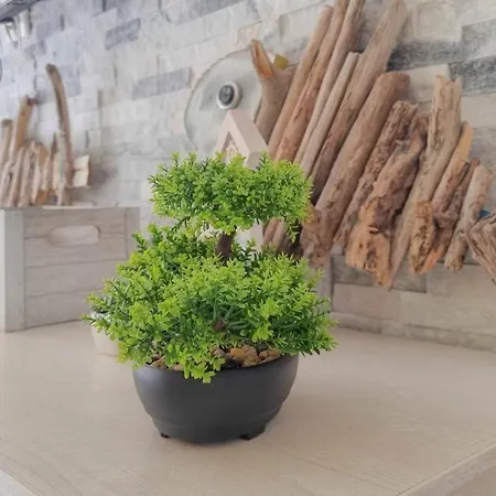 Lejlighed Sebastian Novigrad Istria