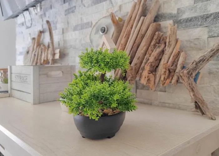 Apartment Sebastian Novigrad (Istria)